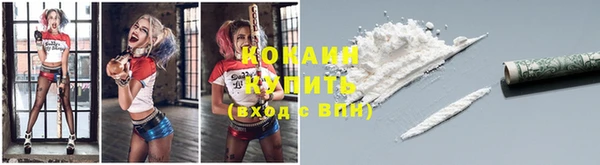 кокс Елизово