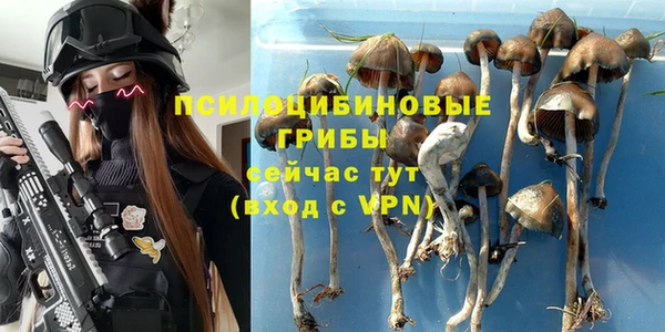 кокс Елизово